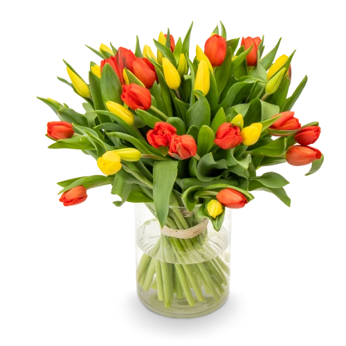 Kytice tulipánů